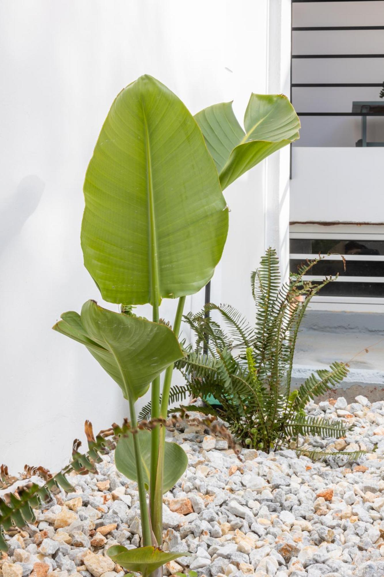 Garden Luxury Apartment Iraklio Exteriér fotografie
